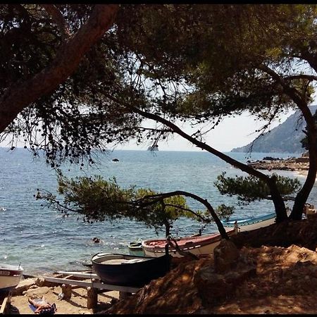 Appartement T2 A Fabregas, Proche Des Sablettes La Seyne-sur-Mer Kültér fotó