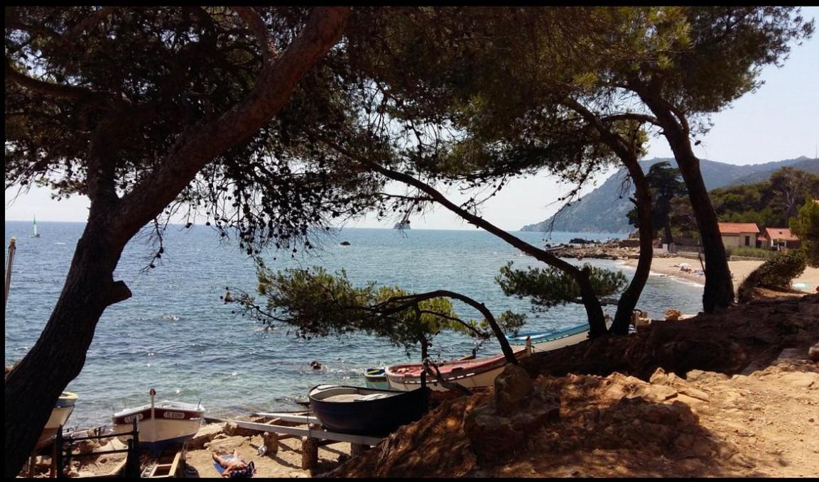 Appartement T2 A Fabregas, Proche Des Sablettes La Seyne-sur-Mer Kültér fotó